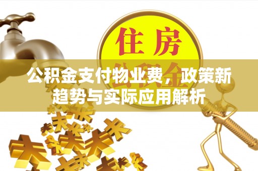 横栏公积金支付物业费，政策新趋势与实际应用解析