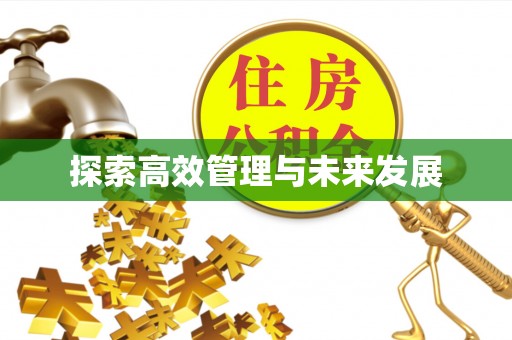 横栏探索高效管理与未来发展