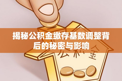 横栏揭秘公积金缴存基数调整背后的秘密与影响