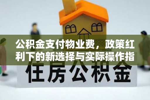 横栏公积金支付物业费，政策红利下的新选择与实际操作指南