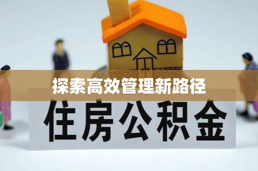 横栏探索高效管理新路径
