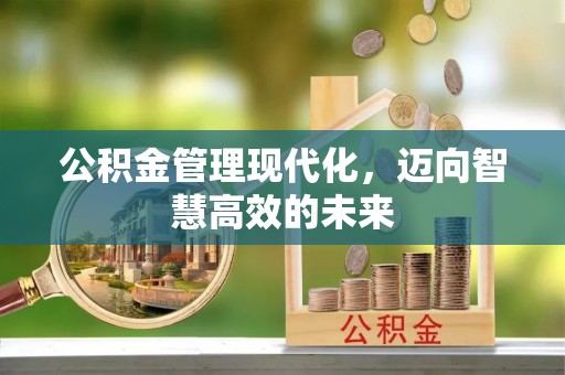 横栏公积金管理现代化，迈向智慧高效的未来