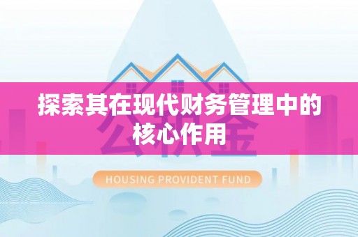 横栏探索其在现代财务管理中的核心作用