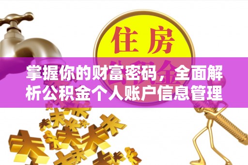 横栏掌握你的财富密码，全面解析公积金个人账户信息管理