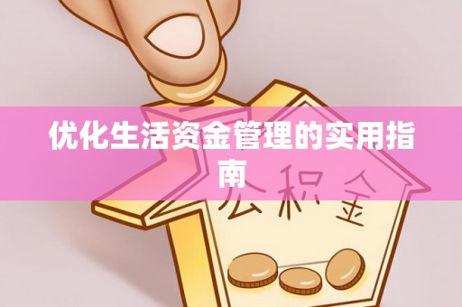 横栏优化生活资金管理的实用指南