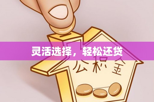 横栏灵活选择，轻松还贷