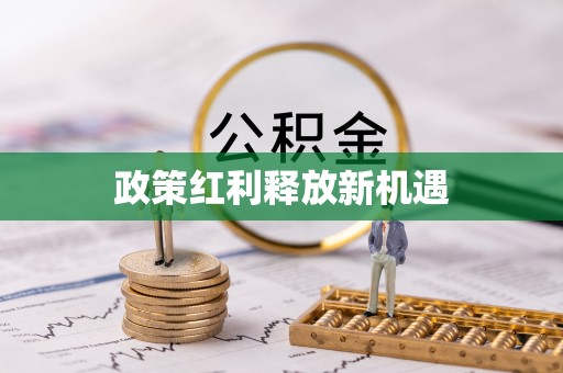 横栏政策红利释放新机遇