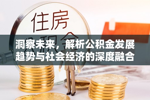 横栏洞察未来，解析公积金发展趋势与社会经济的深度融合