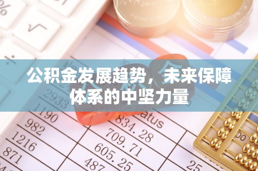 横栏公积金发展趋势，未来保障体系的中坚力量