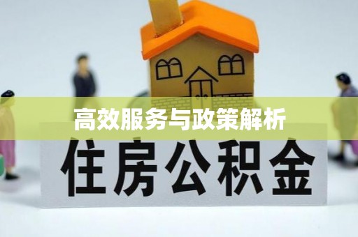 横栏高效服务与政策解析