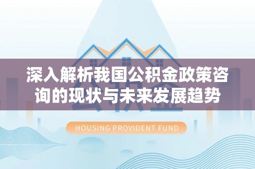 横栏深入解析我国公积金政策咨询的现状与未来发展趋势