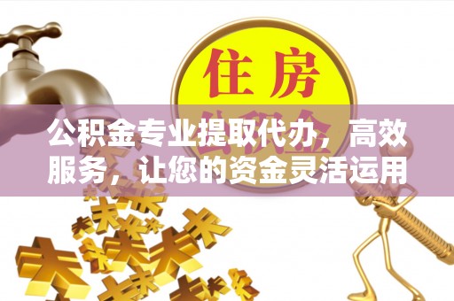 横栏公积金专业提取代办，高效服务，让您的资金灵活运用