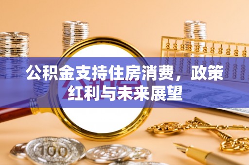 横栏公积金支持住房消费，政策红利与未来展望