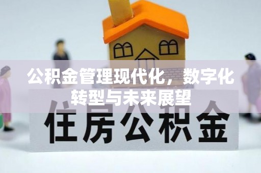横栏公积金管理现代化，数字化转型与未来展望