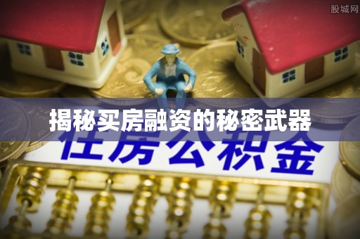 横栏揭秘买房融资的秘密武器