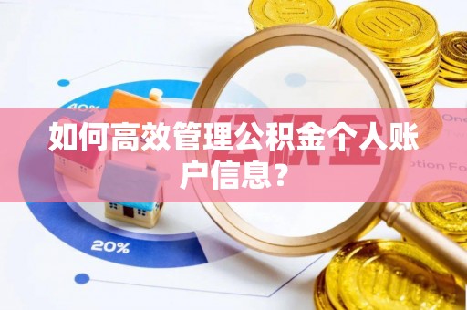 横栏如何高效管理公积金个人账户信息？