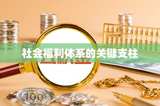 横栏社会福利体系的关键支柱