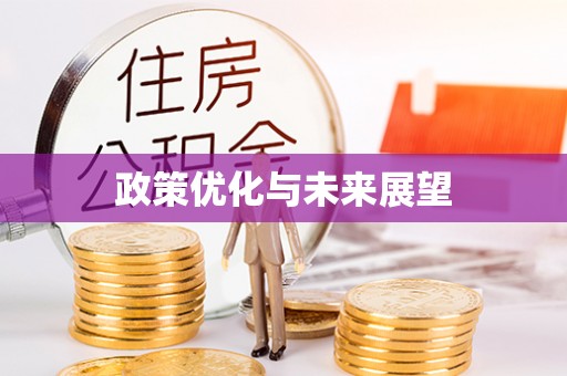 横栏政策优化与未来展望