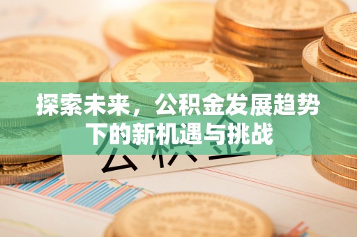 横栏探索未来，公积金发展趋势下的新机遇与挑战