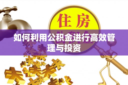 横栏如何利用公积金进行高效管理与投资