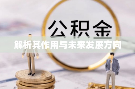 横栏解析其作用与未来发展方向