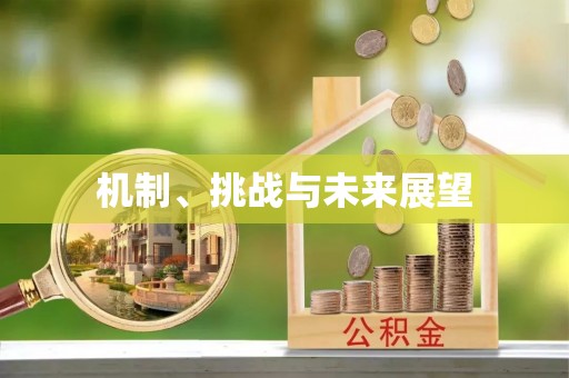 横栏机制、挑战与未来展望